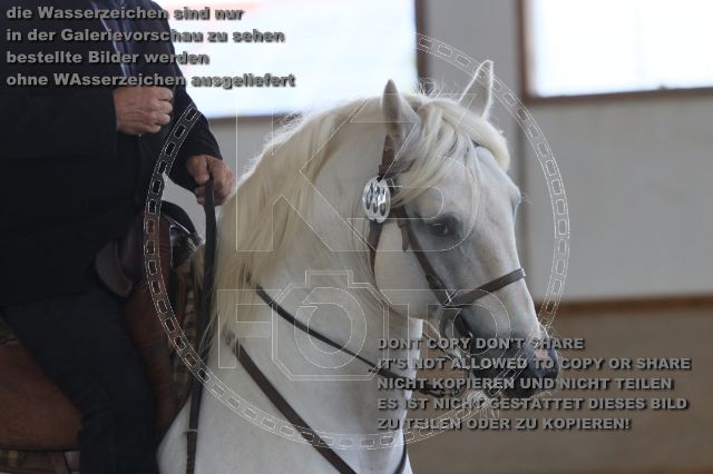 s_IMG_9982.JPG